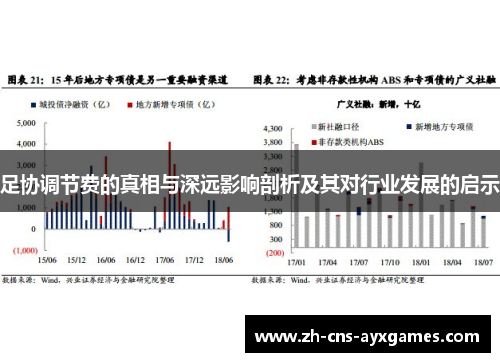 足协调节费的真相与深远影响剖析及其对行业发展的启示