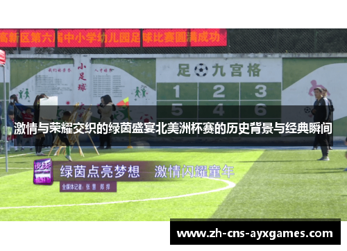 激情与荣耀交织的绿茵盛宴北美洲杯赛的历史背景与经典瞬间