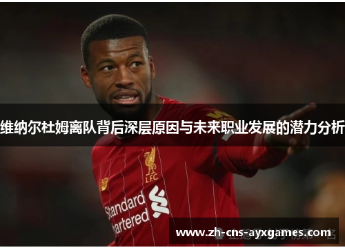 维纳尔杜姆离队背后深层原因与未来职业发展的潜力分析 维纳尔杜姆离队背后深层原因与未来职业发展的潜力分析