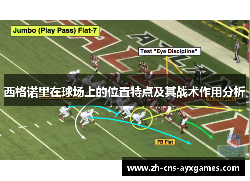 西格诺里在球场上的位置特点及其战术作用分析